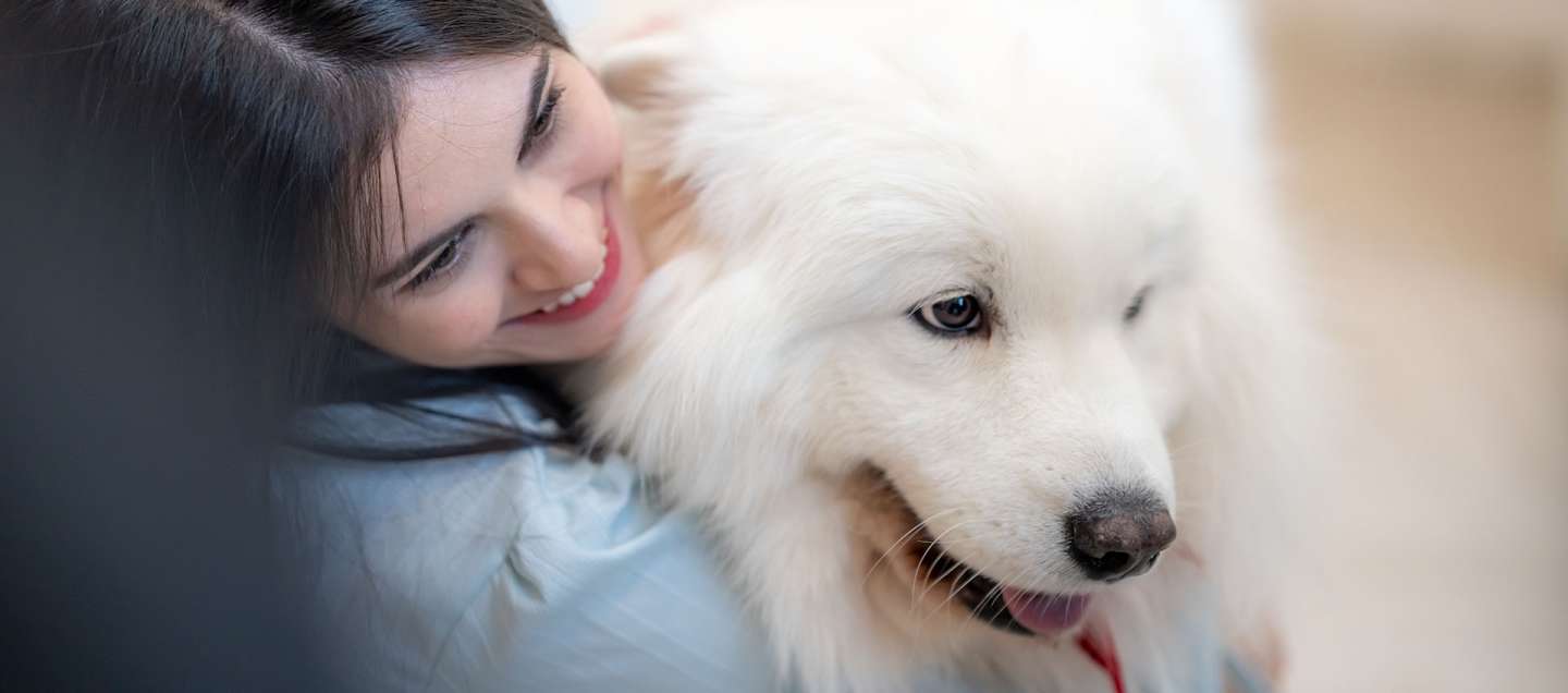 TikTok, un outil publicitaire pas comme les autres en 2024